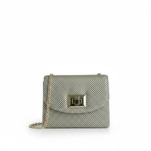 Charlie & RSVP Gold Metal Mesh Mini Crossbody – Evening Bag with Chain Strap